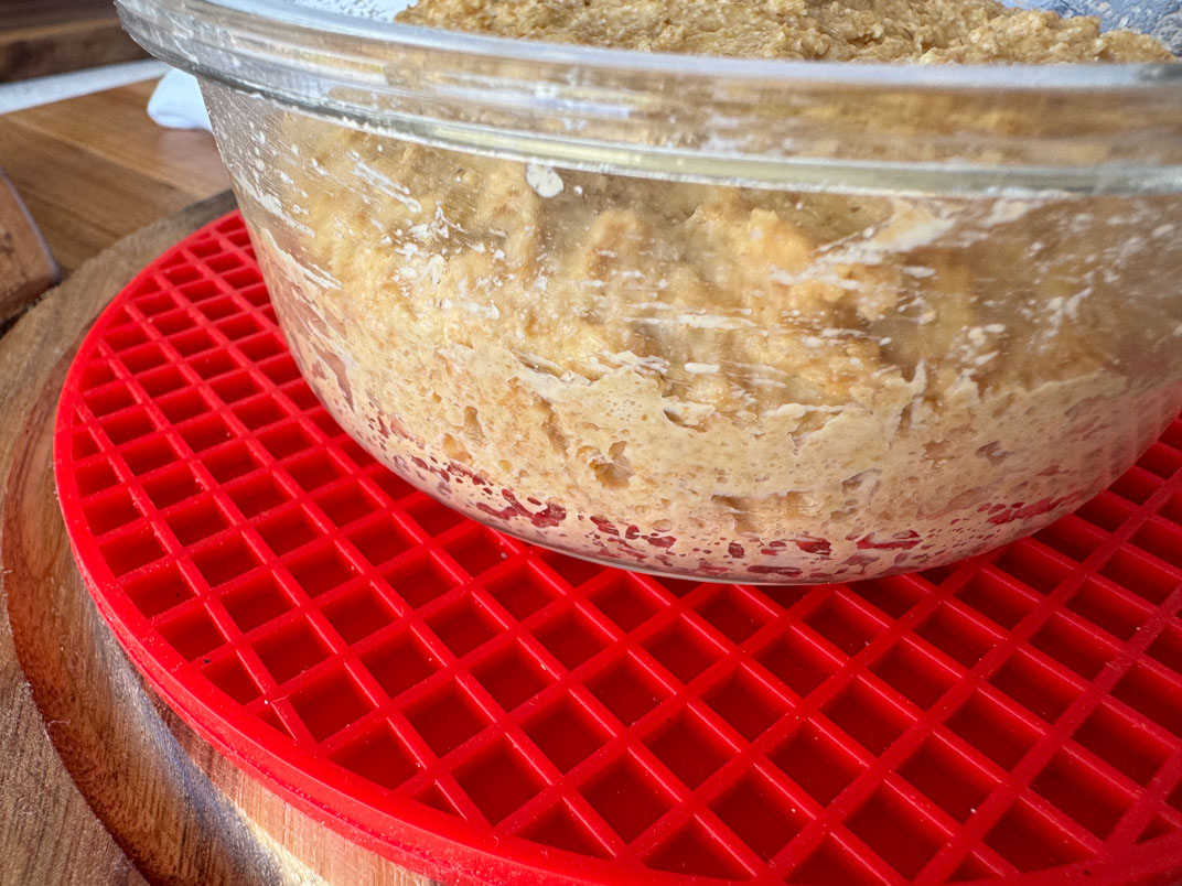 IMG_0267 whole wheat einkorn sourdough starter
