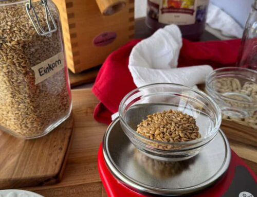 New Einkorn Sourdough Starter