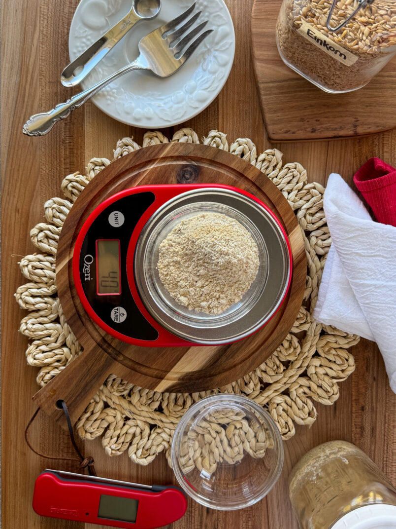 new sourdough starter einkorn wheat