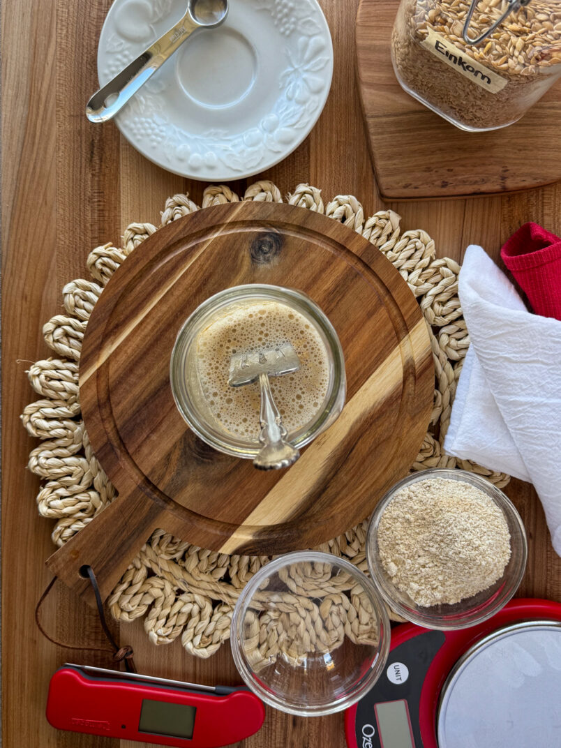 new einkorn sourdough starter honeysalt and olive version