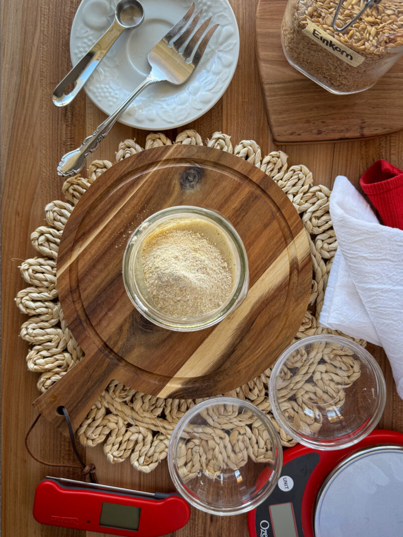 a new einkorn sourdough starter