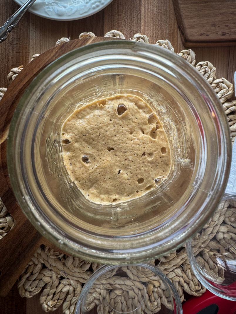 honeysalt and olive new einkorn sourdough starter with whole wheat