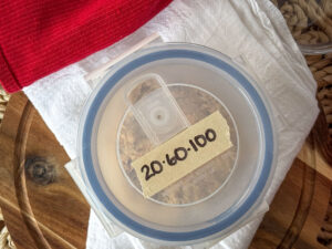 20-60-100 sourdough starter
