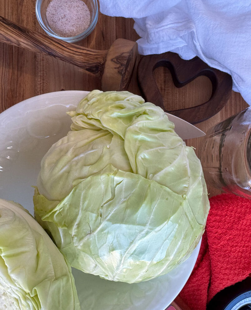 Whole Cabbages for Sauerkraut whole green cabbages