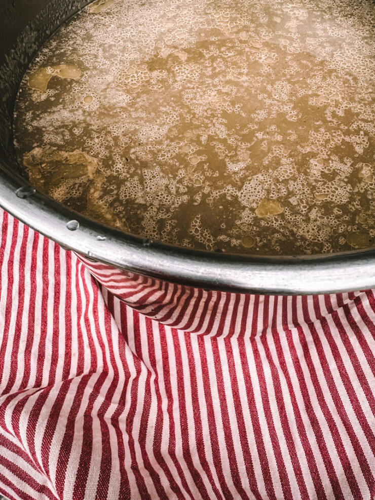 chicken broth with fat