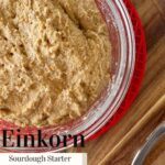 Refresh Your Whole Wheat Einkorn Sourdough Starter Using the 20-60-100 Method Pin