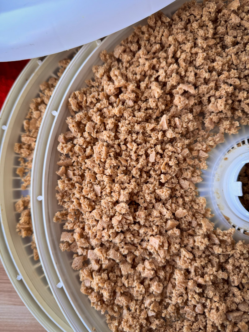einkorn sourdough bread crumbs in a dehydrator