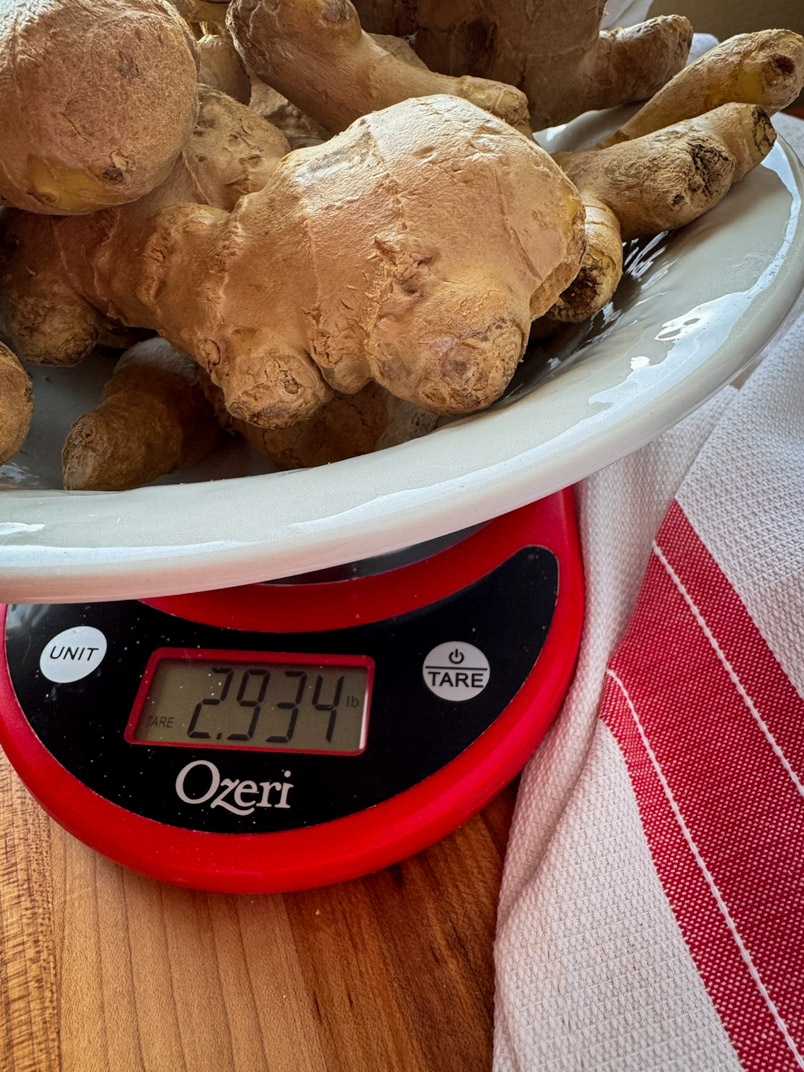 unpeeled fermented ginger unpeeled fermented ginger