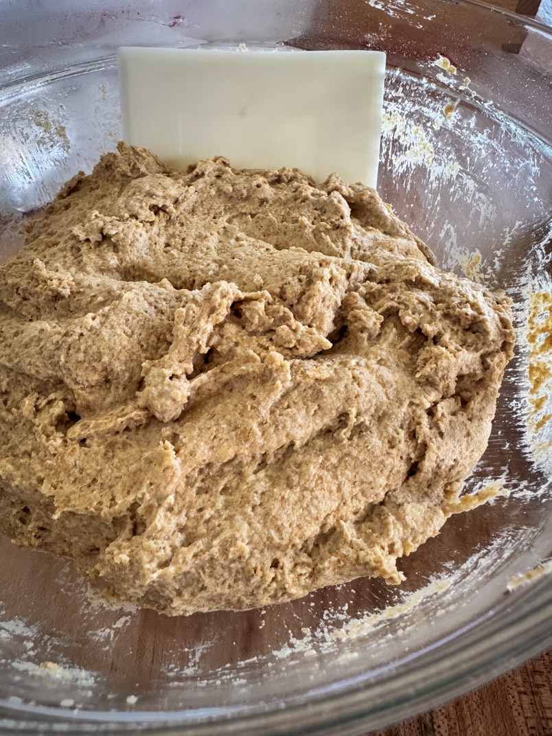 mixed sourdough einkorn dough
