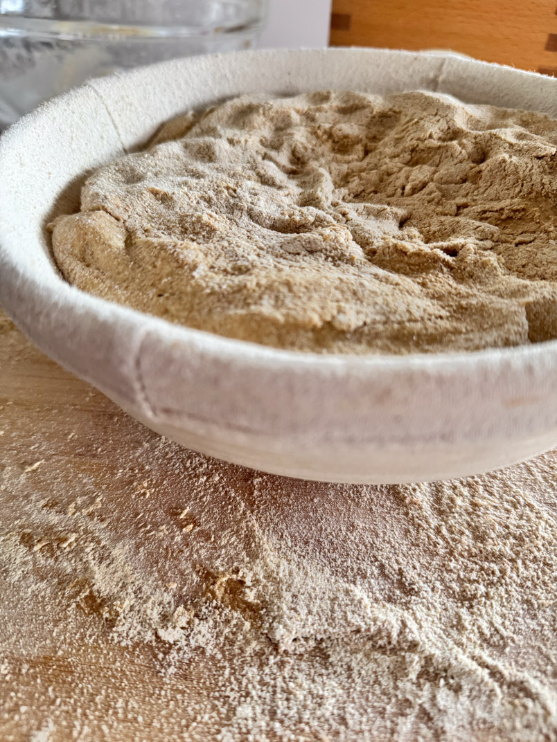 shaped einkorn sourdough dough in banneton