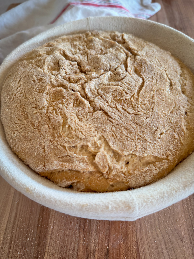 risen and shaped einkorn dough