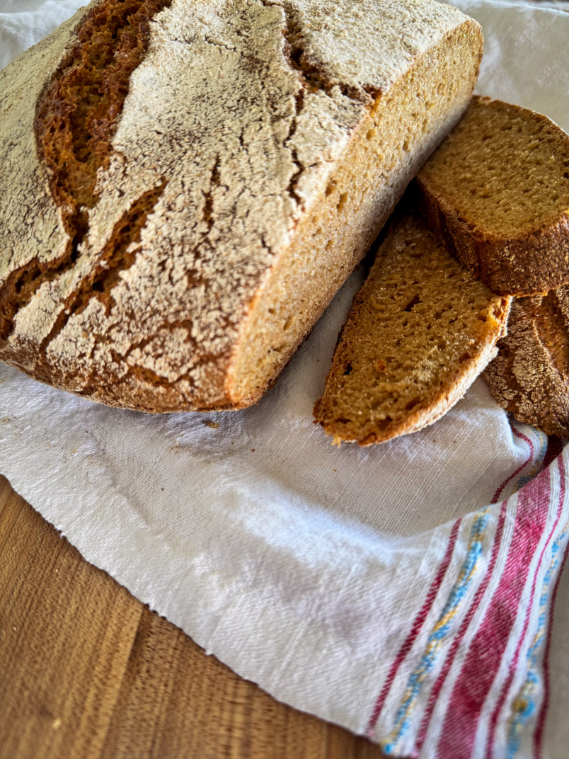 Whole wheat einkorn bread slices