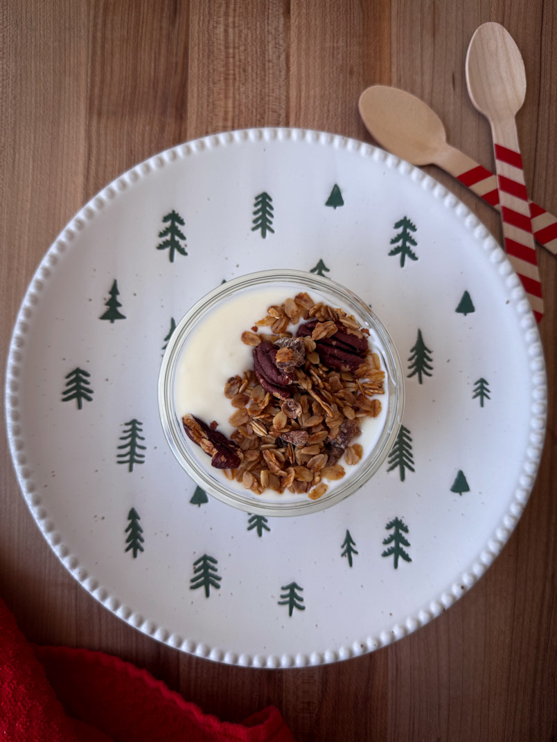 homemade granola and homemade yogurt homemade granola and homemade yogurt
