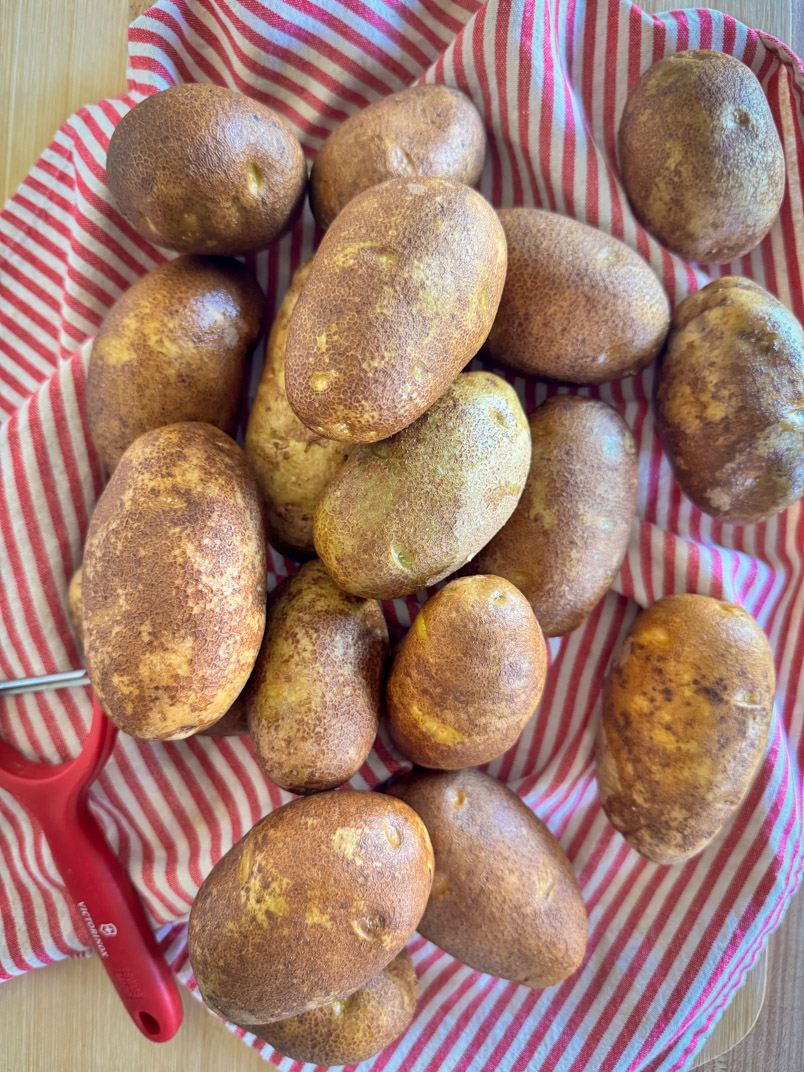 potatoes to make cheesy potato bites