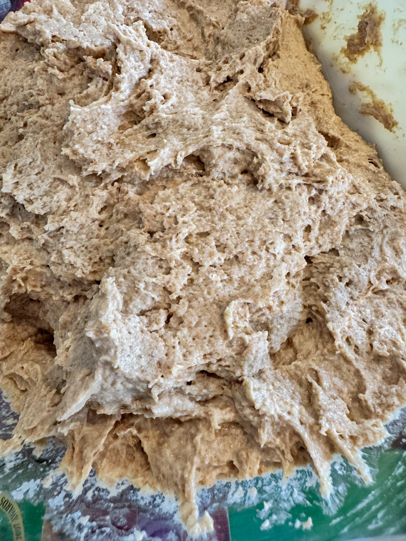 einkorn dough for sourdough stuffing bread