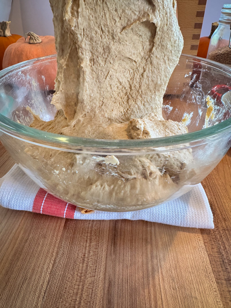 Stretch and fold einkorn sourdough dough