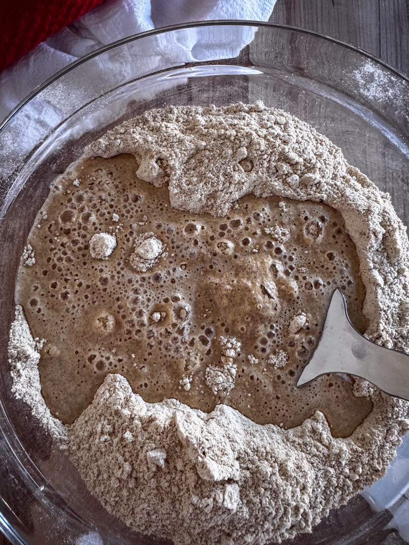 einkorn wheat flour mixed with sourdough starter