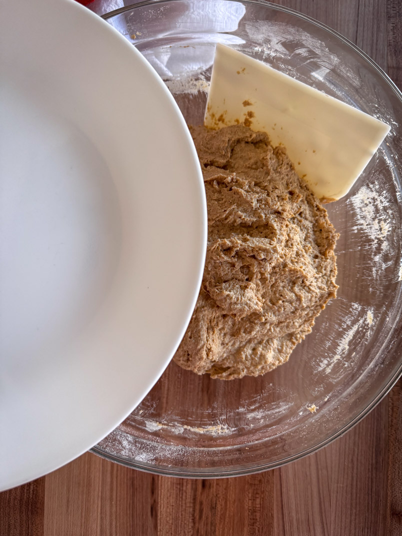 einkorn wheat dough