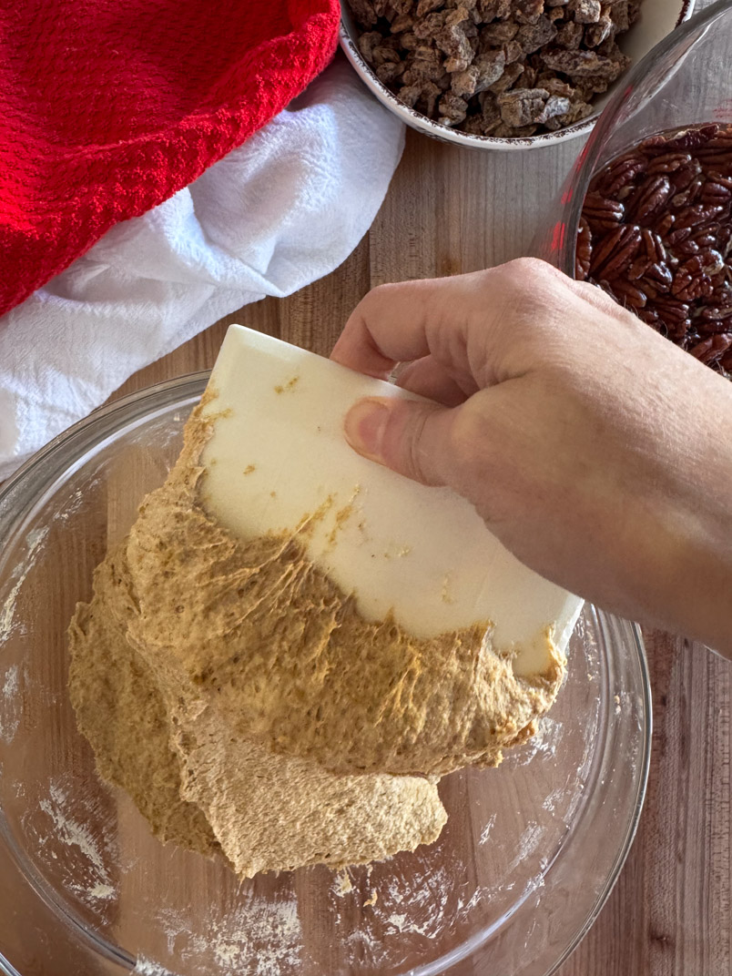 stretch and fold einkorn dough