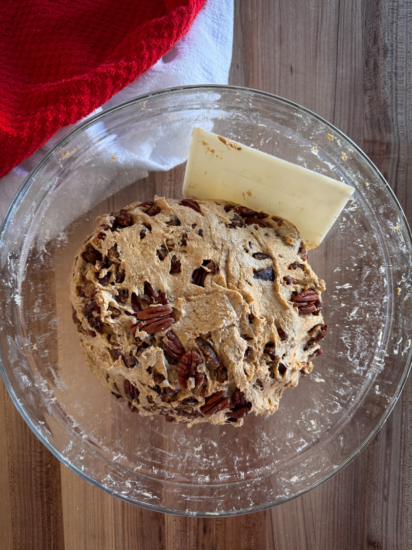 mixed einkorn sourdough dough with pecans and dates