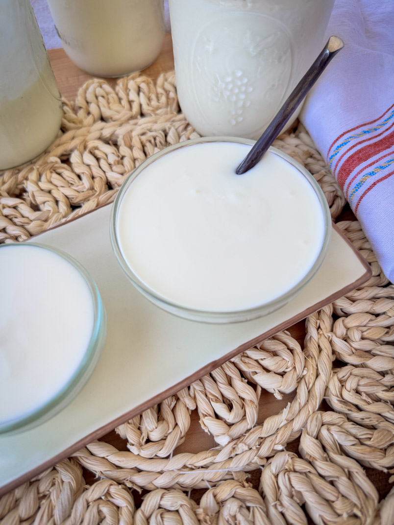 easy healthy yogurt recipe