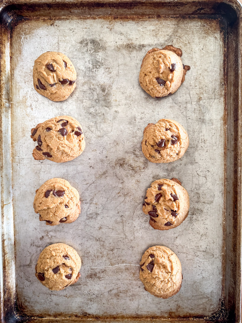 healthy chocolate chip cookies