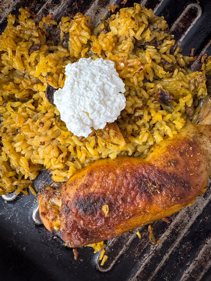 leftover coriander chicken