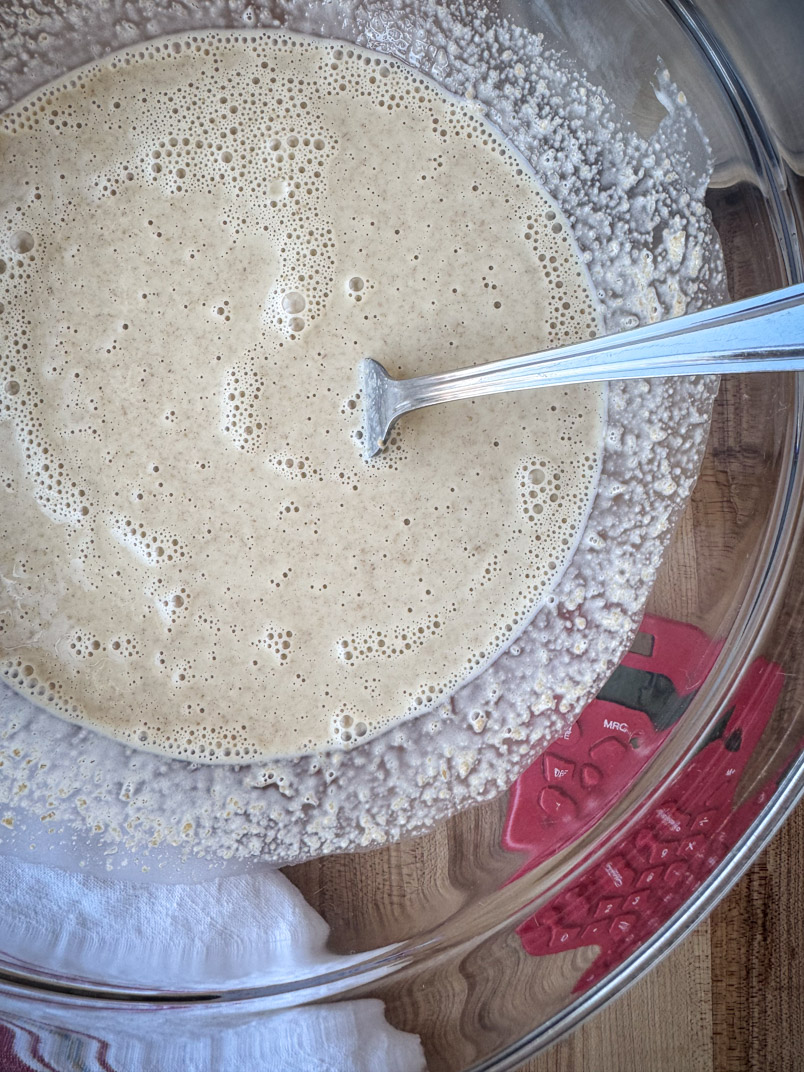 einkorn discard starter mixed with water