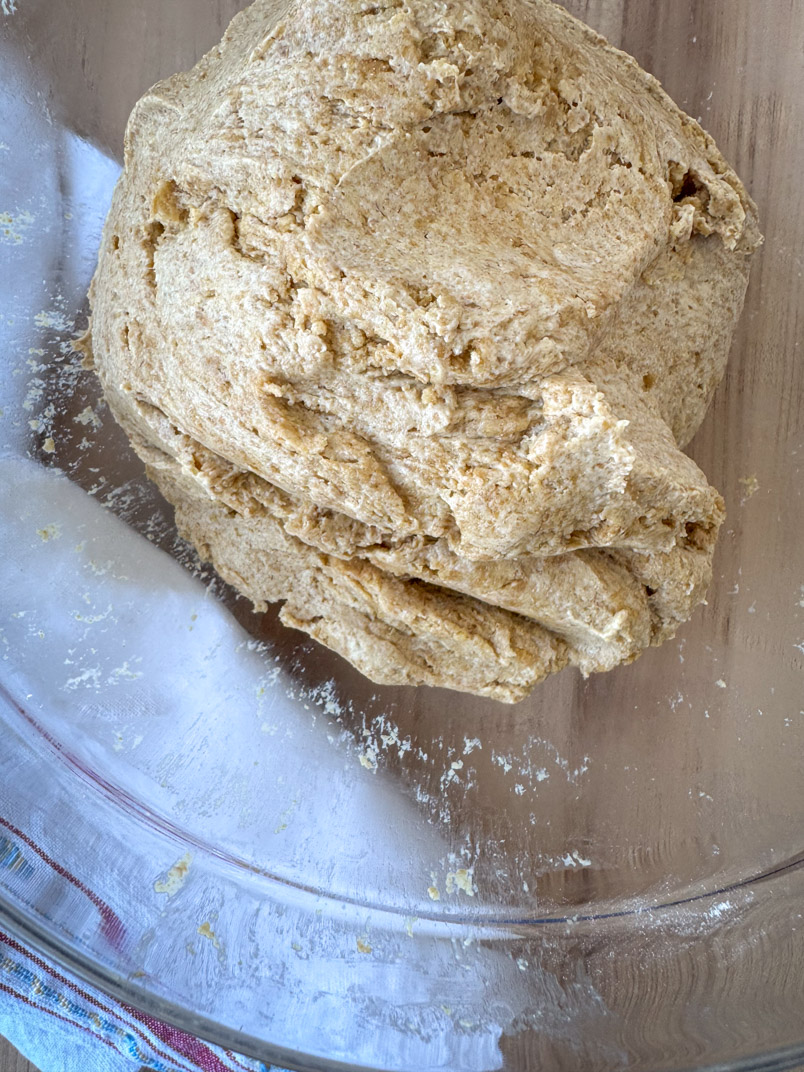 sourdough cracker dough with einkorn wheat