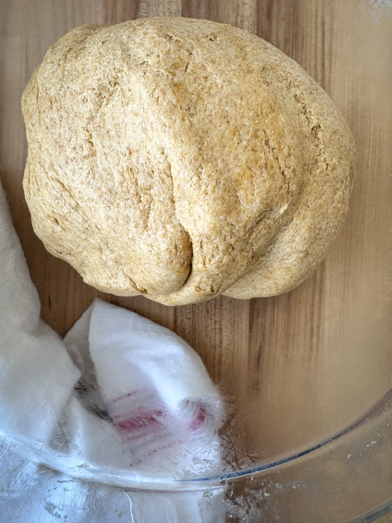 fresh milled einkorn wheat dough